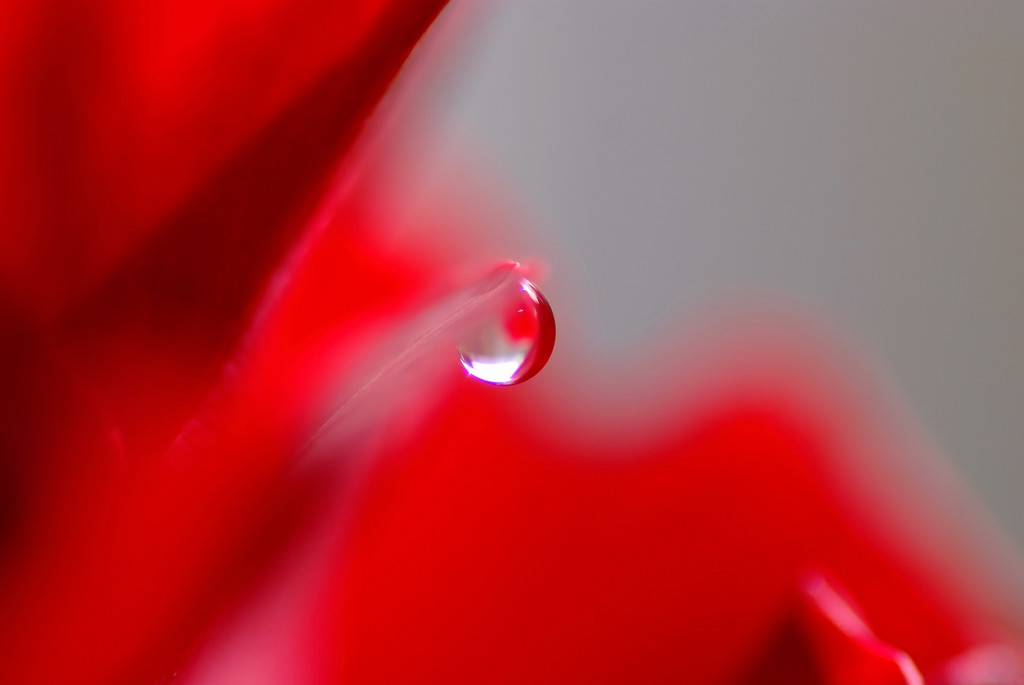 Tears of February （Ⅱ）