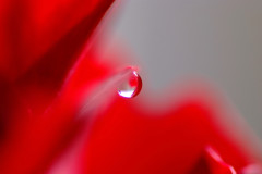 Tears of February （Ⅱ）