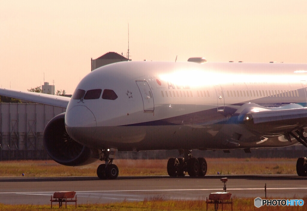 いつか君に追い風が✈ANA