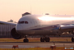 いつか君に追い風が✈ANA