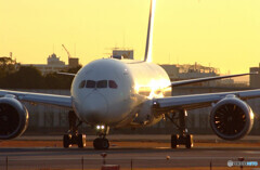 December 23rd✈いい日旅立ち