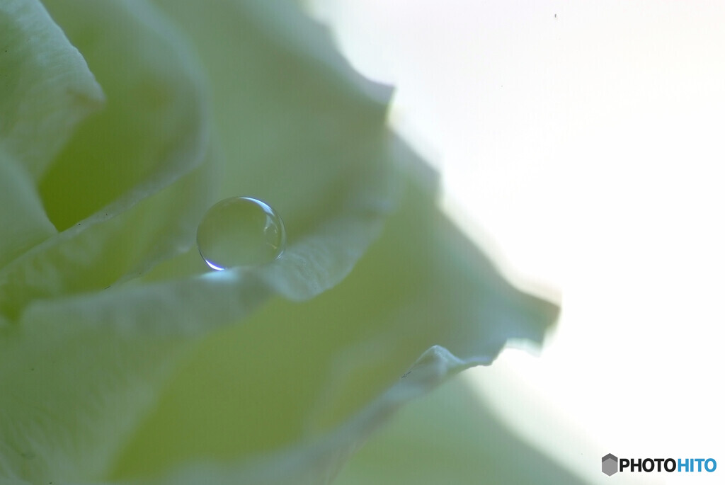 心静かに❁雫の時間