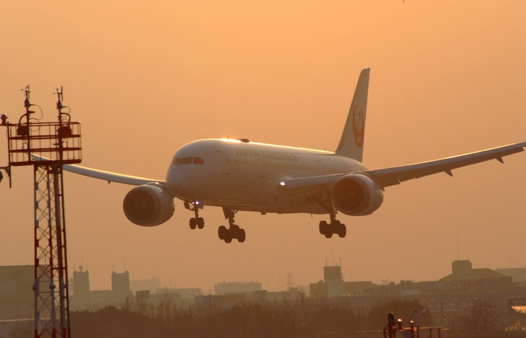 我が街へ✿Boeing787-8