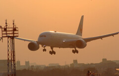 我が街へ✿Boeing787-8