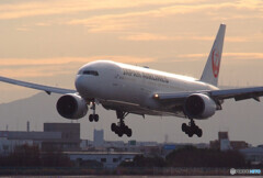 Happy FlightⅢ✈ YES JAL!