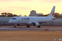 February MorningⅡ✈JA243J