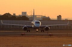 2月の翼✈Embraer 190