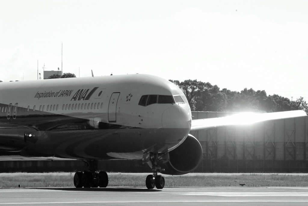 俺たちの旅➍✈Boeing767-300