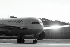 俺たちの旅➍✈Boeing767-300