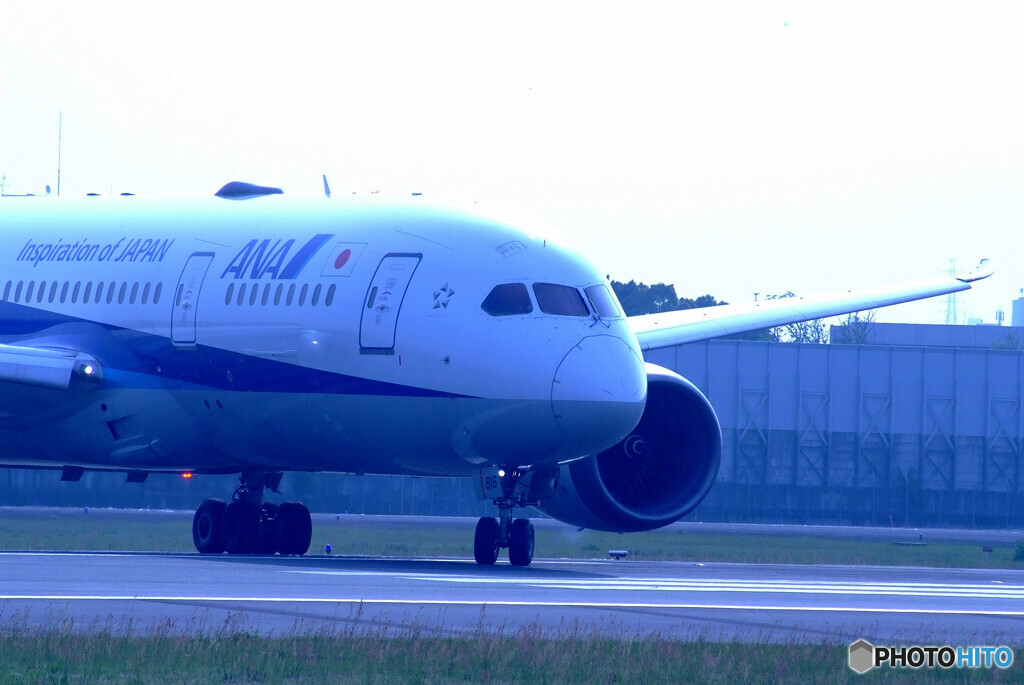 SKY LANDの朝✈Dreamliner