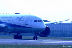 SKY LANDの朝✈Dreamliner