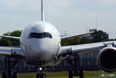 静寂の時✈JA01XJ