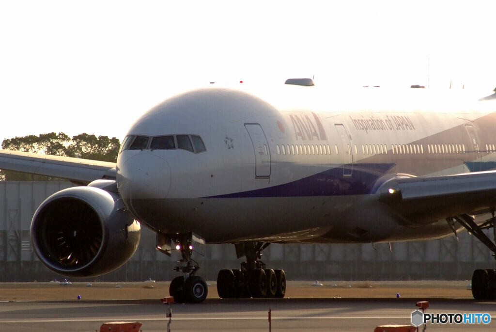 Nice MorningⅡ☆ANA Boeing777-200