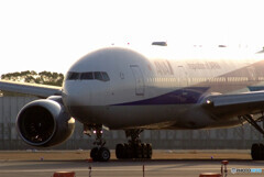 Nice MorningⅡ☆ANA Boeing777-200