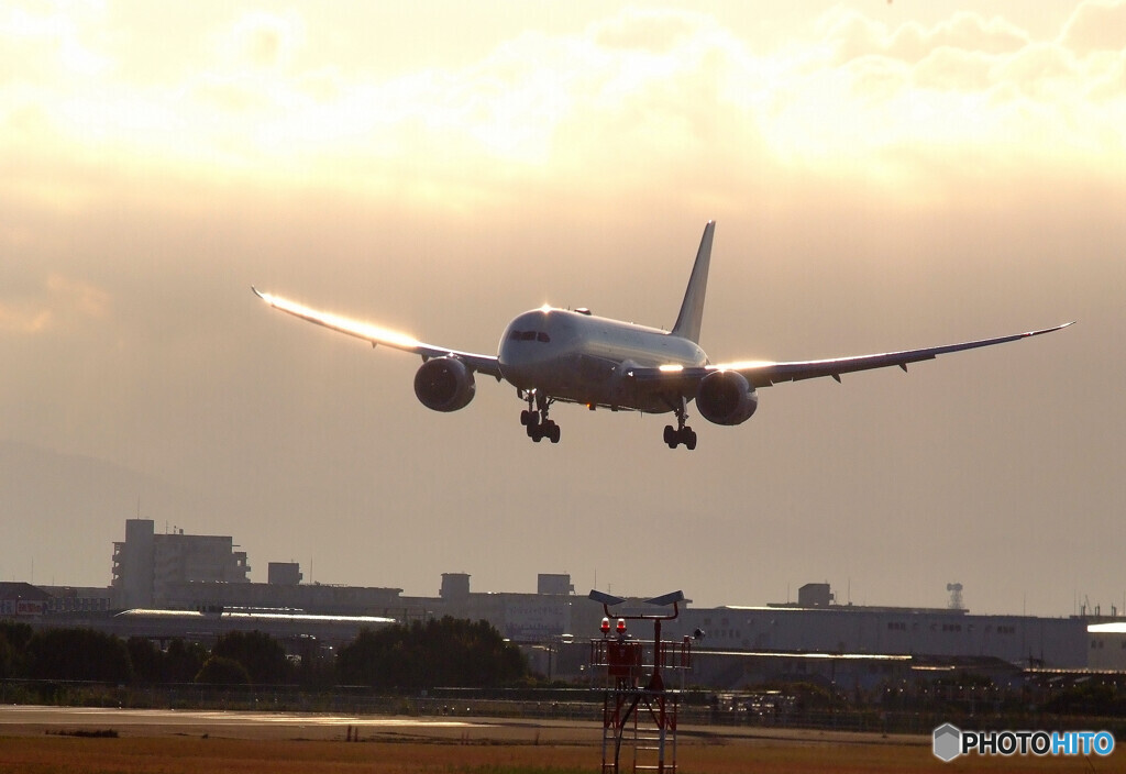 Golden wings✈HARADA