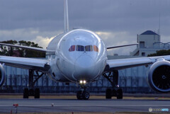 March morningⅤ✈JA849J