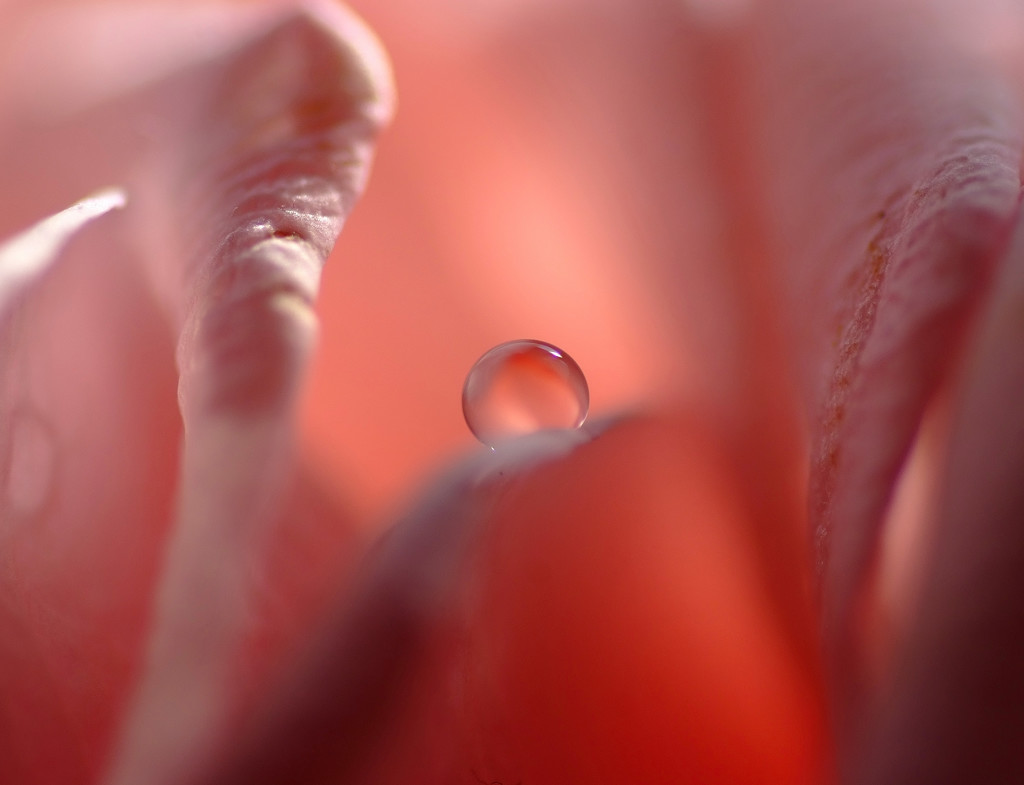 やさしい光・雫