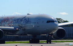 Endless SummerⅩ✈A350-900