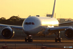 男の浪漫Ⅳ✈JAL Boeing787-8