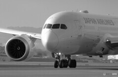 Afternoon Shot★787