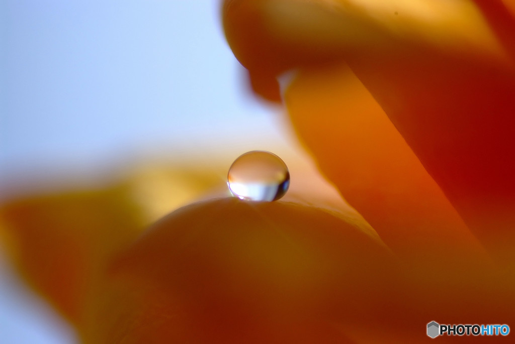 癒しの惑星・春