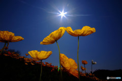 春空にDance・Dance・Dance