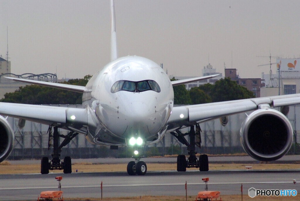 霞の空へ✈JA01XJ