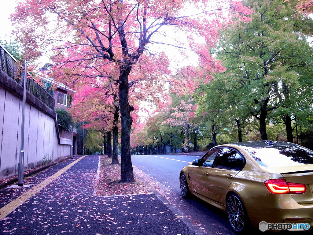 三色彩道にＢＭＷで行く？