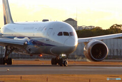 December journeyⅥ✈ANA 787-8