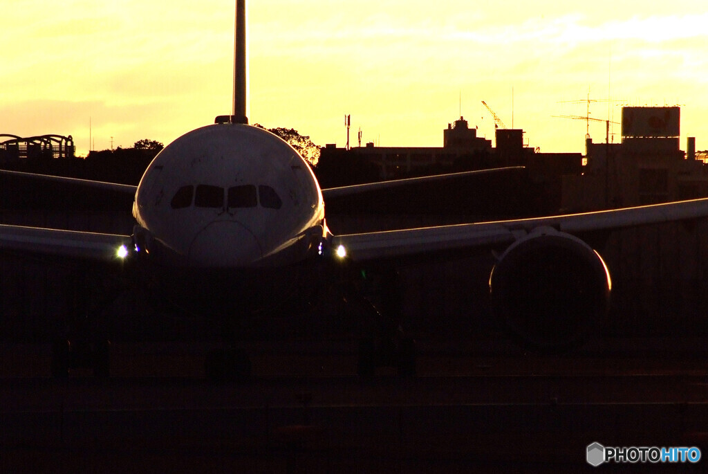 沈黙の朝✈Boeing787-8