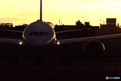 沈黙の朝✈Boeing787-8