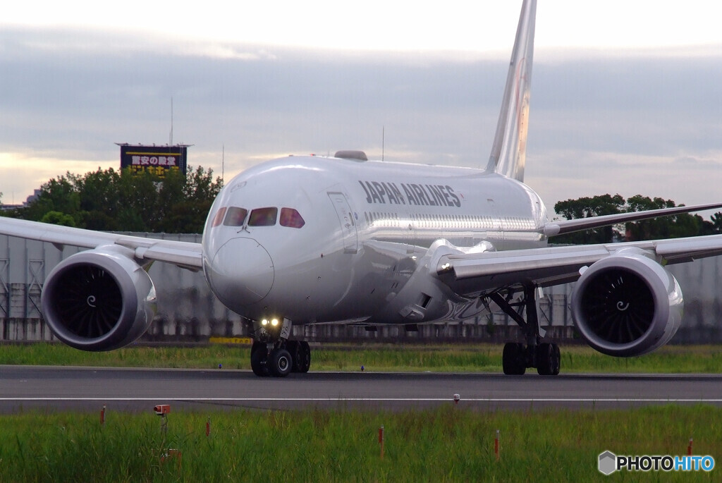 HARADAの朝✈JA846J