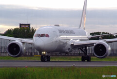 HARADAの朝✈JA846J