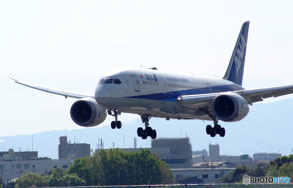 April morning✈Boeing 787-8