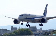 April morning✈Boeing 787-8