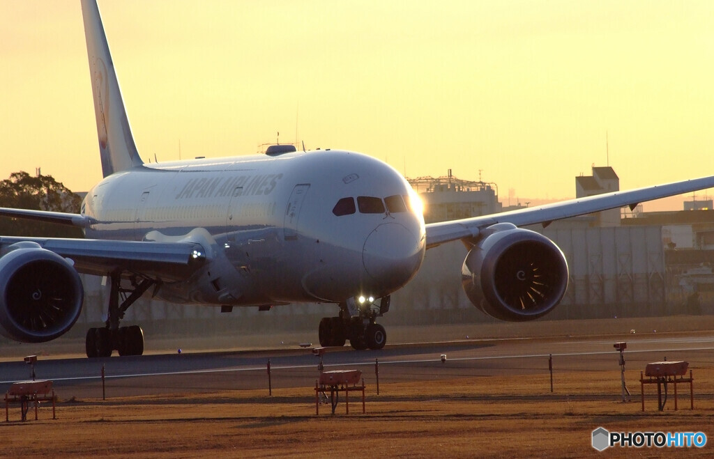 Morning Glow✈787-8 Dreamliner