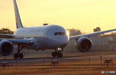 Morning Glow✈787-8 Dreamliner