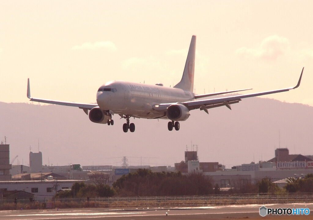 魅せられて✈JAL