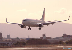 魅せられて✈JAL