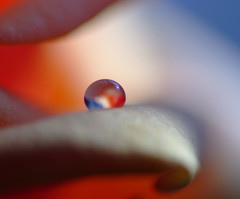 愛しき惑星・雫（Ⅲ）