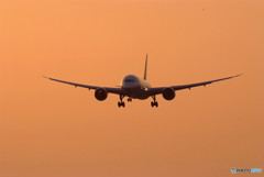 Silhouette RomanceⅡ・787