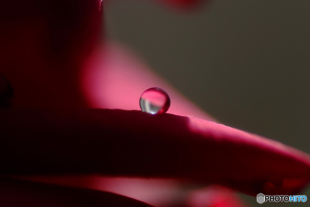 赤い灯・雫