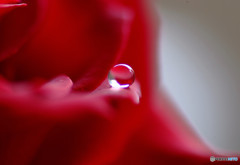 永遠の恋人・雫