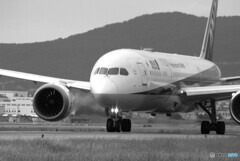 旅立ち✈787