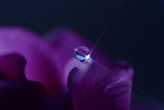 Eternity✾泰月の雫