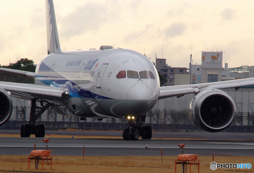 March Morning✈Dreamliner