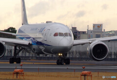 March Morning✈Dreamliner