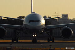 静寂の朝✈boeing 777-200