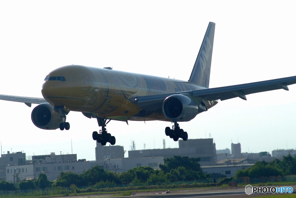 9月の旅人Ⅴ✈JA743A