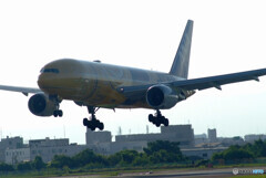 9月の旅人Ⅴ✈JA743A